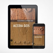 E-book - Acedia dziś