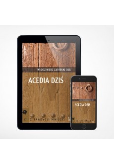 E-book - Acedia dziś