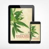 E-book - Jesteśmy ludźmi i nie wiemy kim jesteśmy