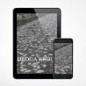 E-book - Droga Króla